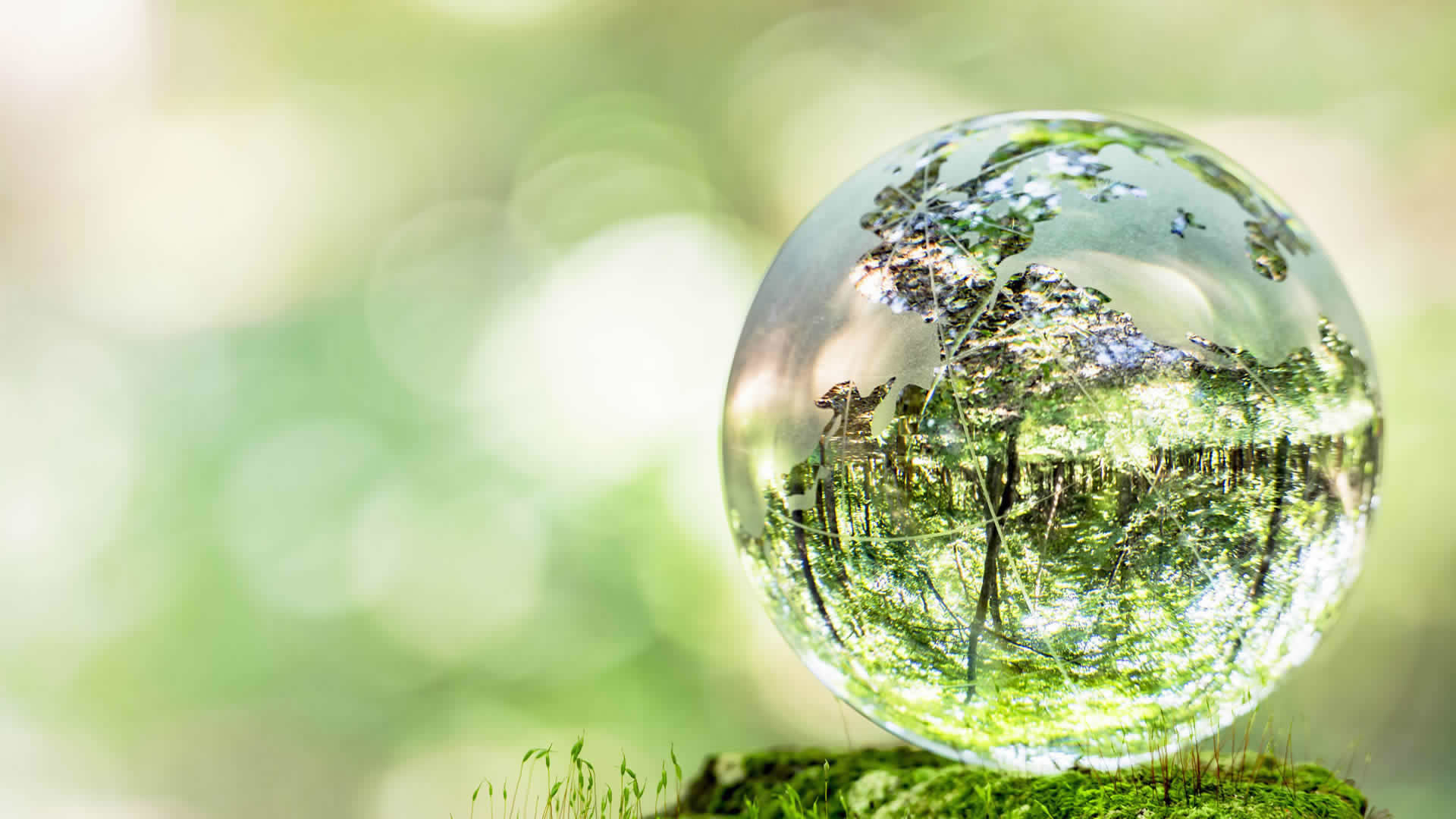 TPT食器淨化科技