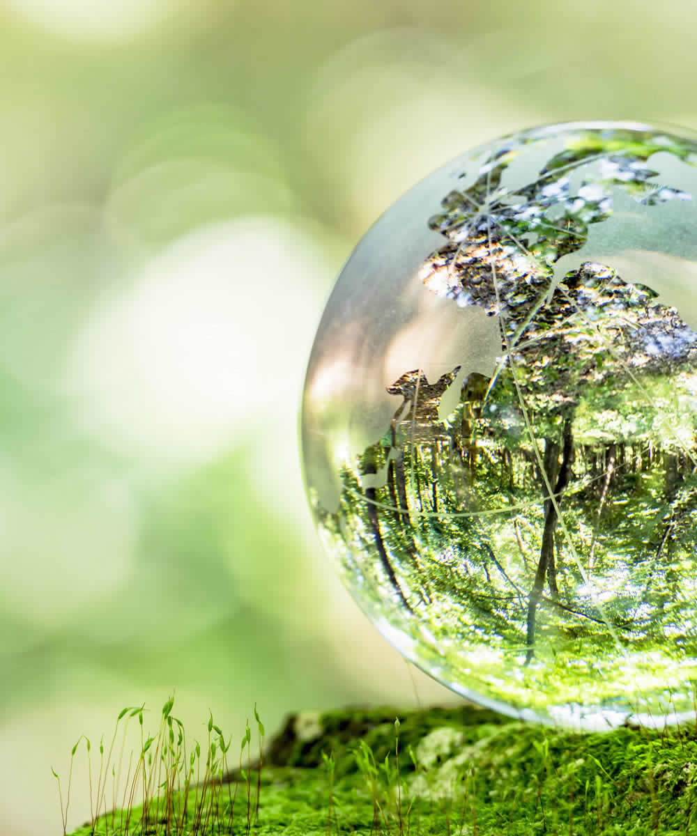 TPT食器淨化科技