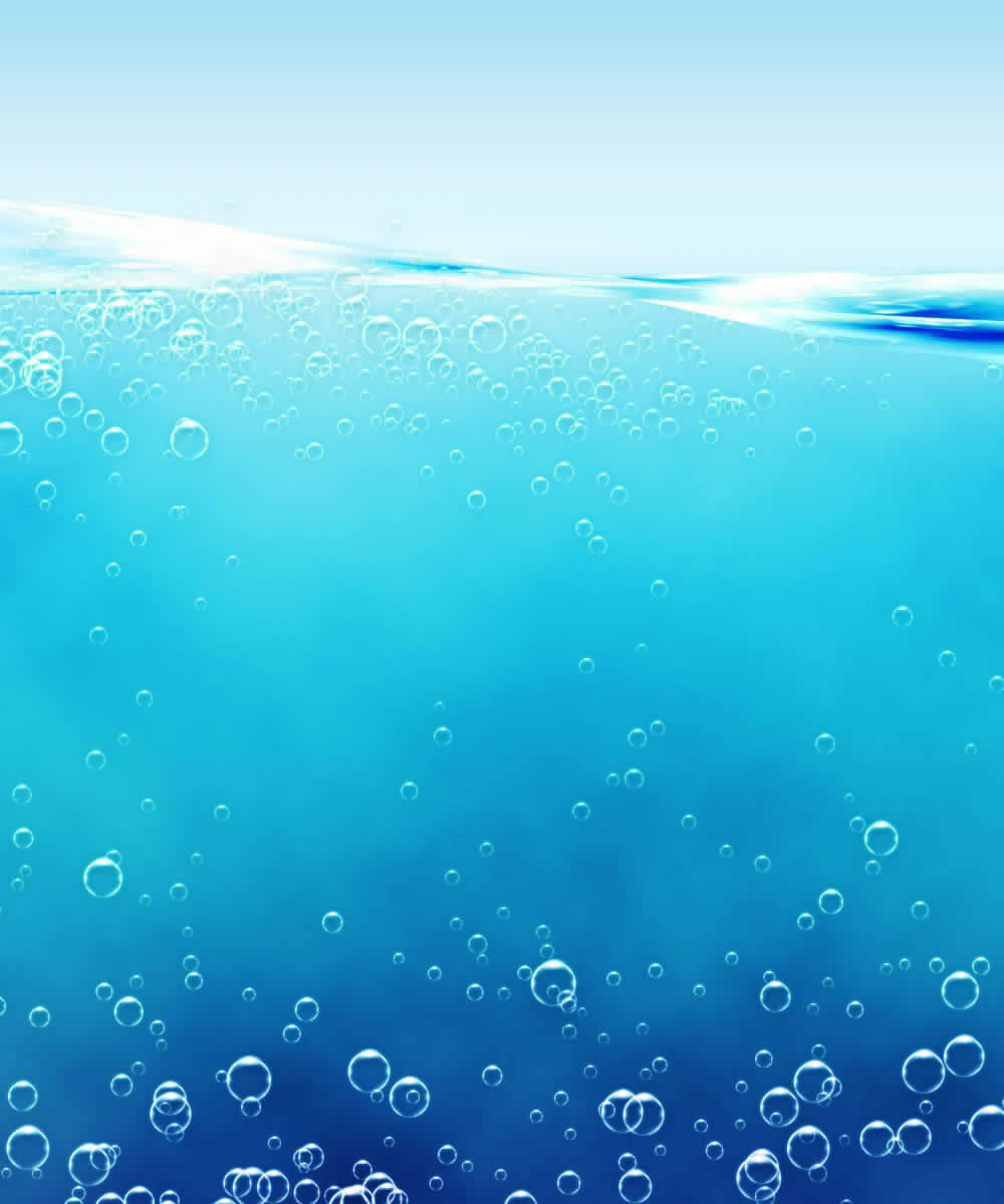 TPT食器淨化科技